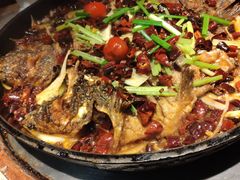 老板恋上鱼-老板恋上鱼(恒隆广场店)