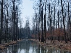 -合肥滨湖国家森林公园