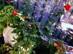 -北京A·C·Embassy酒店(三里屯工人体育场地铁站店)