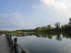 -溱湖国家湿地公园