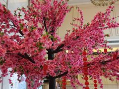 -维也纳国际酒店·江苏苏州火车站北广场店