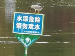 -后襄河公园