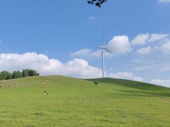 -御道口草原森林风景区
