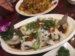 鲜花椒鲈鱼-金牌餐厅·天津菜·八珍豆腐·老爆三(瓷房子店)