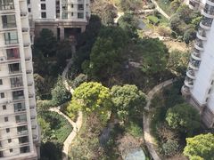 -新湖明珠城