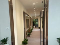 -绿雪芽白茶(浙大华家池校区凯旋路店)