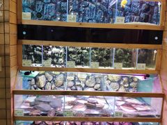 -龟与熊猫宠物公园(南坪店)