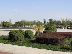 -丁香湖公园