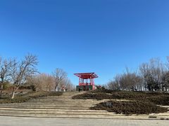 -大望京公园