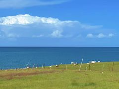 -青海湖国家重点风景名胜区