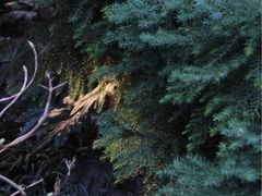 -苏州河梦清园环保主题公园