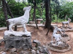 -红螺寺