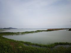 -苏州太湖湖滨国家湿地公园