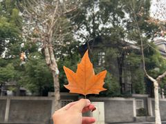 -颐和路民国时期公馆风貌区
