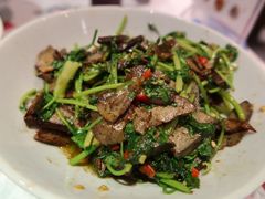 -壹盏灯(惠农店)