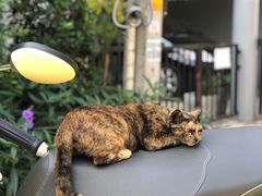 -宁曼路