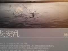 -新华书店(泉城路店)
