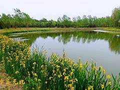 -东郊湿地公园
