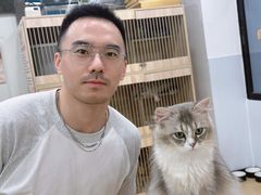 -有喵·猫咖·狗咖·30几只猫10只小狗(岗厦店)