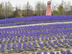 -同里国家湿地公园