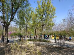 -大兴滨河森林公园