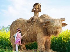 -乌村