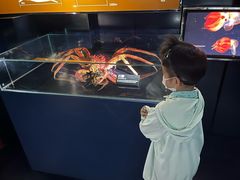 -同济大学四平路校区深海探索馆