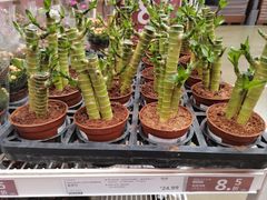 -IKEA宜家家居(南京商场)