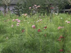 -北沙滩(地铁站)