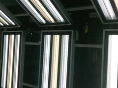 -鲨鱼皮汽车凹陷玻璃修复(静安店)