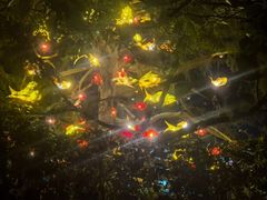-汤山一号温泉度假区
