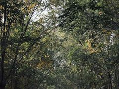 -西青郊野公园