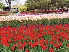 -石家庄市植物园