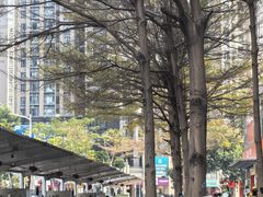 -Home Cafe(水榭春天店)