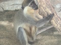 -泉州海丝野生动物世界