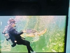 -嘉兴海底世界