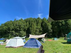 -武陵山森林公园