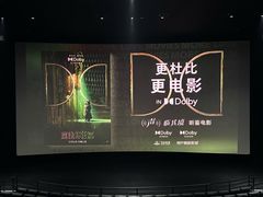 -万达影城(闵行颛桥万达广场杜比影院店)