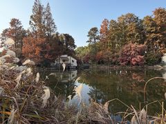 -上海长兴岛郊野公园