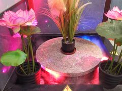 -巴渝菜馆(涿州店)