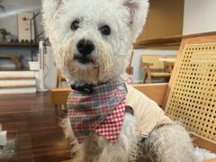 -顺德·古草食记(长寿店)