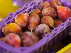 -西郊国际农产品交易中心