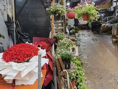 -循礼门鲜花花市(武汉循礼门店)