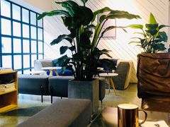 金海盐拿铁-Nectar One Cafe(勇烈路n1店)