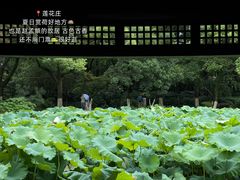 -衣裳街历史文化街区