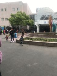 -上海交通大学医学院附属上海儿童医学中心(陆家嘴总院区)