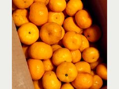 -泰煌鸡·上海白斩鸡·鸡汤面(万航店)