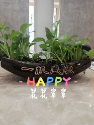 -可可丽舍