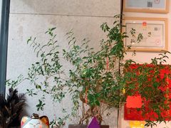 -小豆海棠(嘉兴路店)