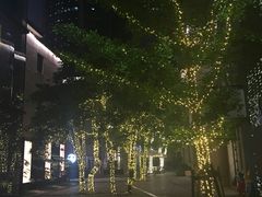 -徐家汇源景区-衡山坊
